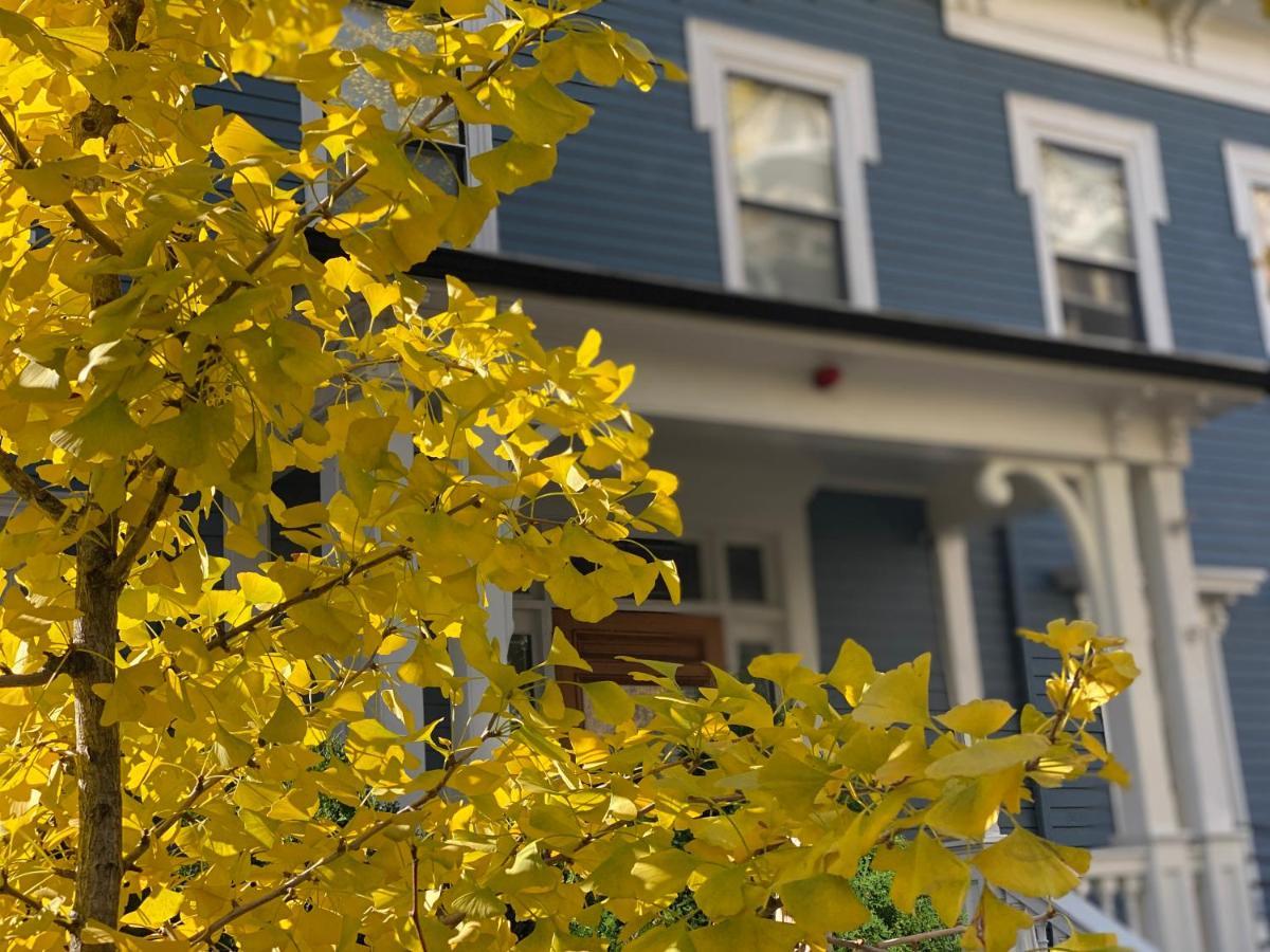 Ginkgo House On Harvard 케임브리지 외부 사진