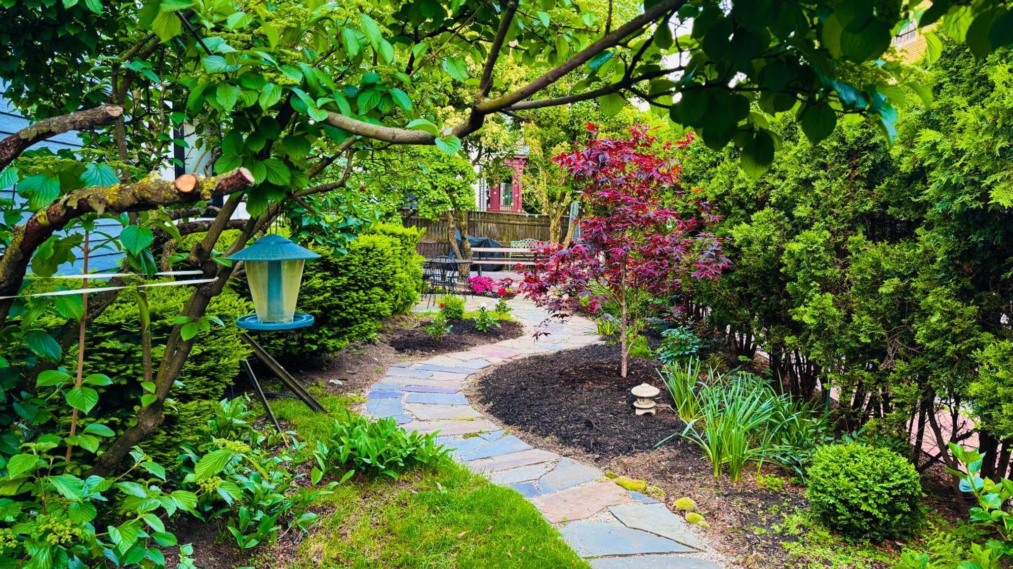Ginkgo House On Harvard 케임브리지 외부 사진