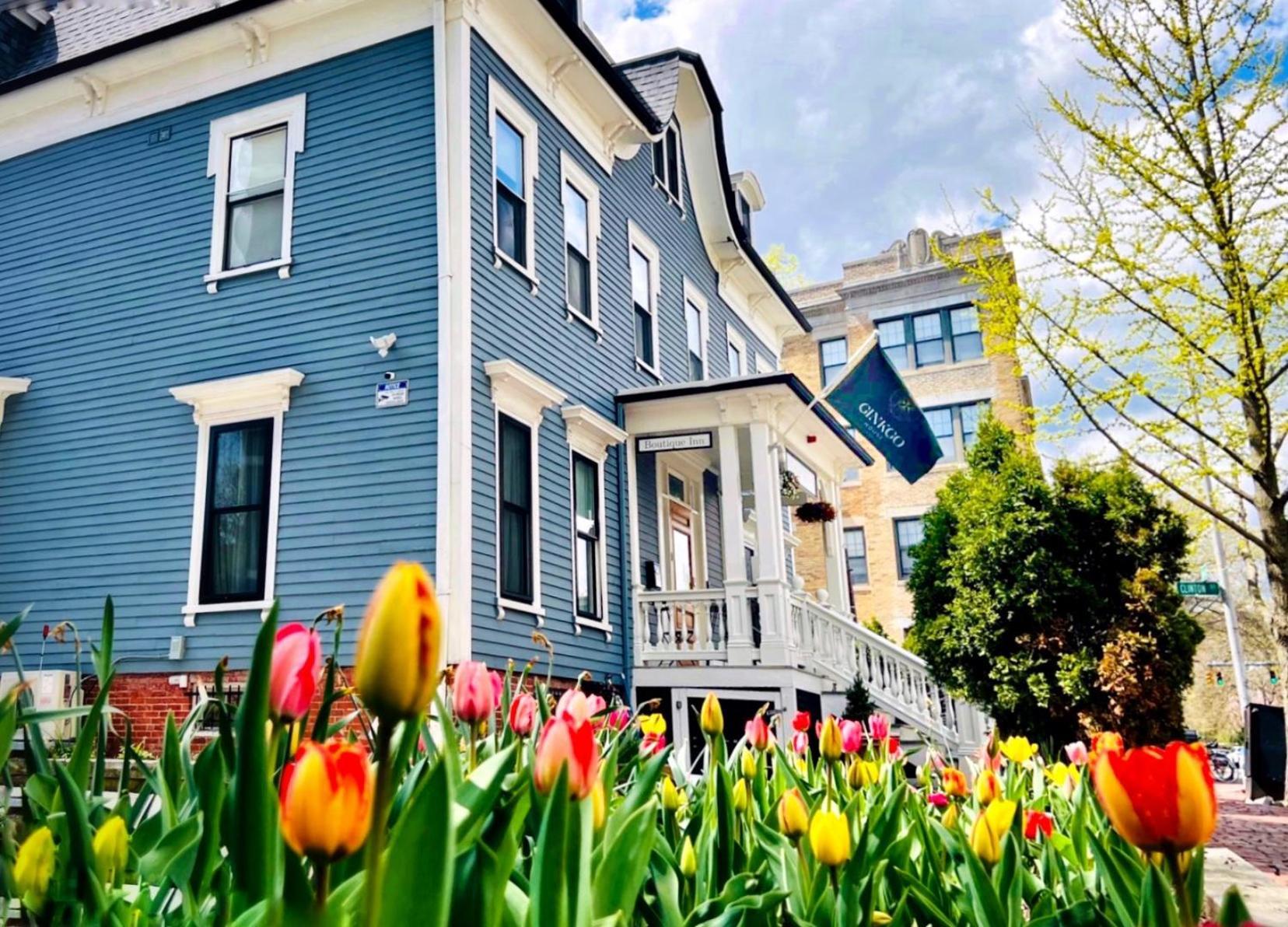 Ginkgo House On Harvard 케임브리지 외부 사진