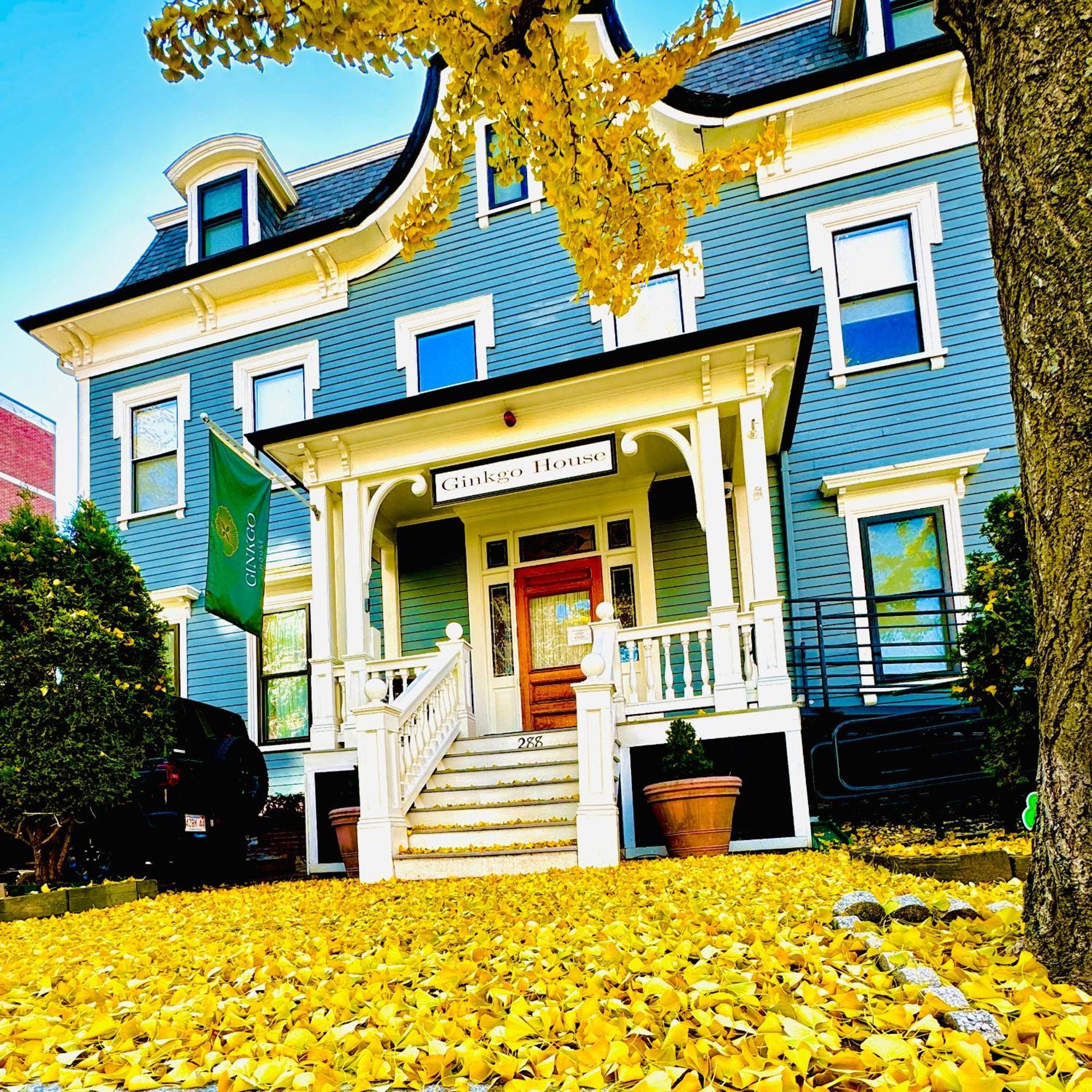 Ginkgo House On Harvard 케임브리지 외부 사진